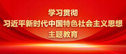 操操小逼逼学习贯彻习近平新时代中国特色社会主义思想主题教育_fororder_ad-371X160(2)